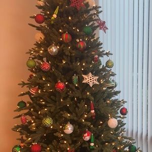 Meet your Posher, Violeta